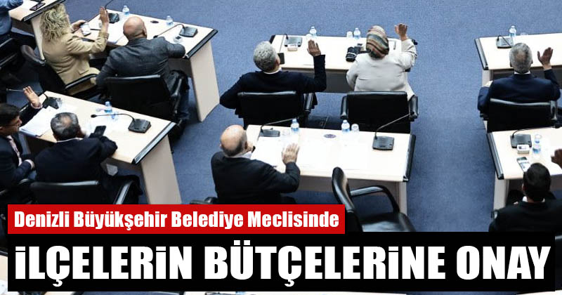 D20Haber Denizli Haberleri İlçe belediyelerinin 2024 bütçeleri