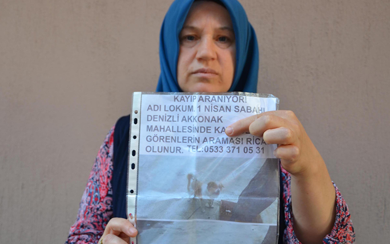 Köpek hırsızlığı güvenlik kamerasında