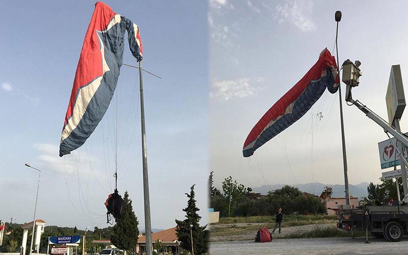 Uçuş keyfi elektrik direğinde bitti