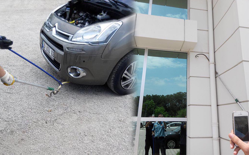 Yılanlar kent yaşamının parçası oldu