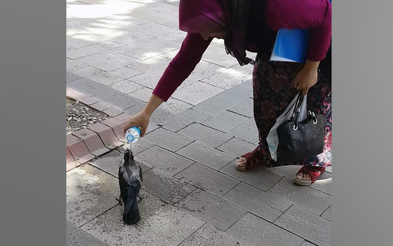 Denizlili kadının insanlık budur dedirten dokunuşu