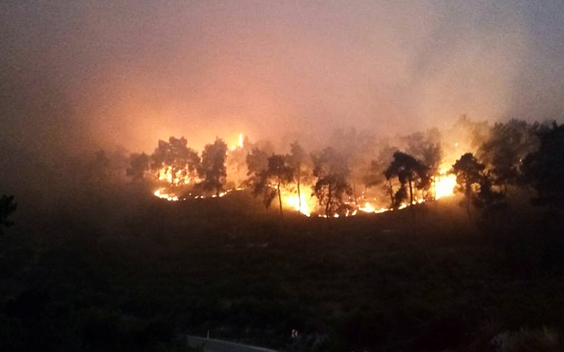 Tin: Yangın 150 hektar alanda etkili oldu