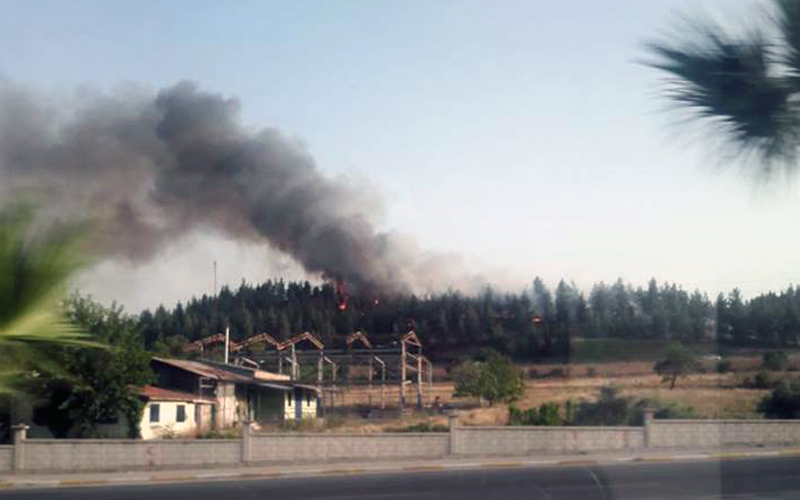 Kent girişindeki korulukta yangın