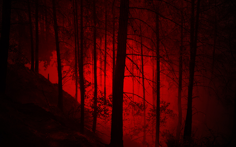 Denizli’de 2 orman yangını