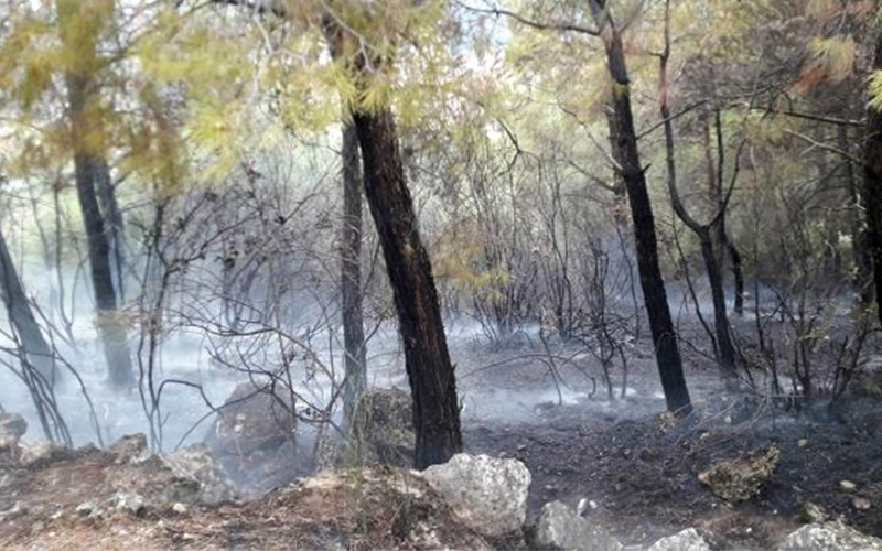 Koruluktaki yangın Buldanlıları korkuttu