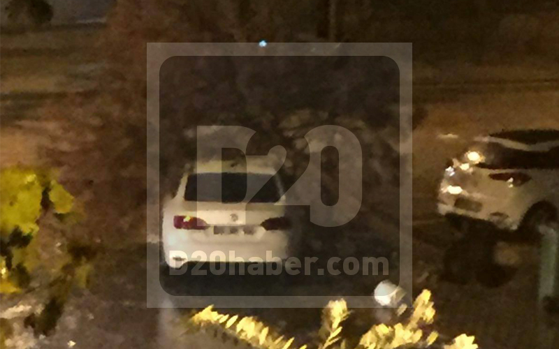 Fırtına ağacı otomobilin üzerine devirdi