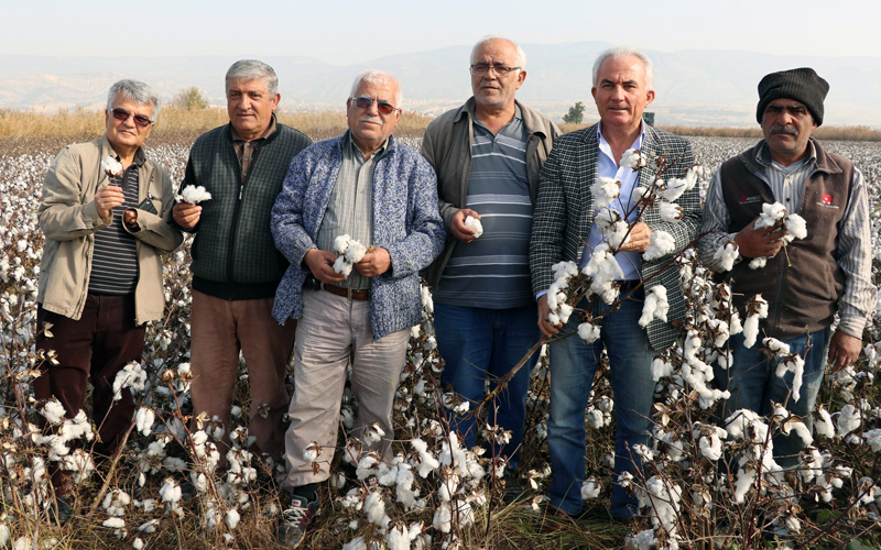 Beyaz altında üretim 5’e katlandı