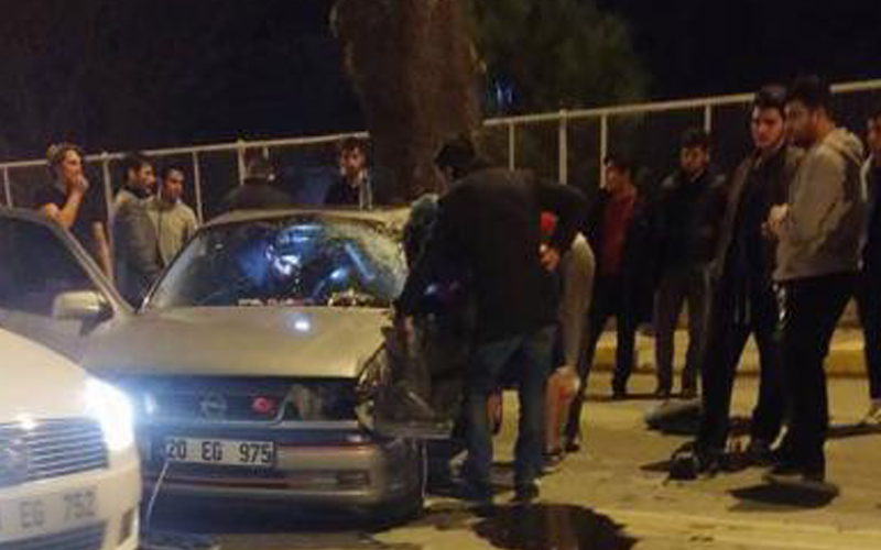Otomobil savrulup ağaca çarptı