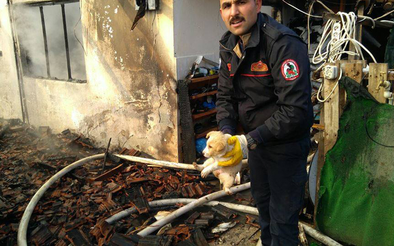Ev yandı, ona bir şey olmadı