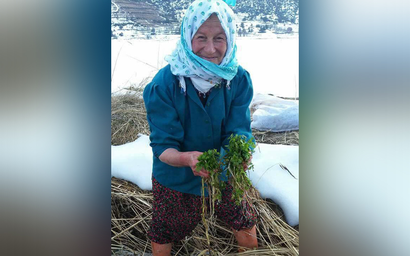 Her derde deva ot: Kazayağı