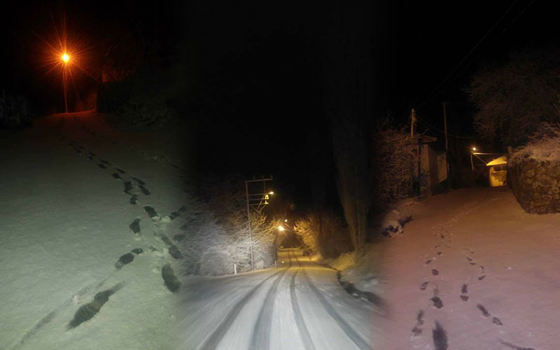 Denizli’de o ilçeye yine kar yağdı
