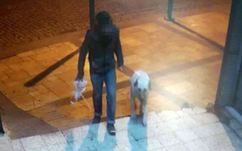 Köpeğe tecavüz olayının faili yakalandı