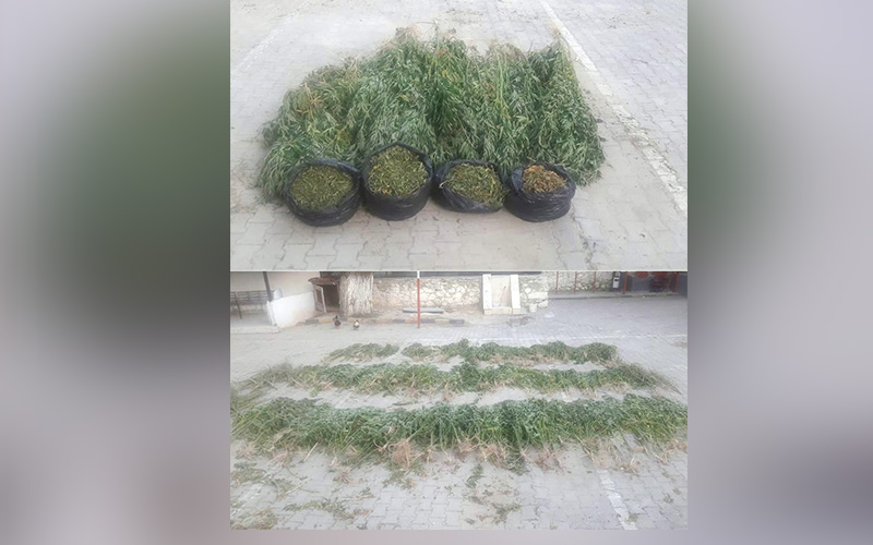 1 kişi 5.8 kilo esrarla yakalandı