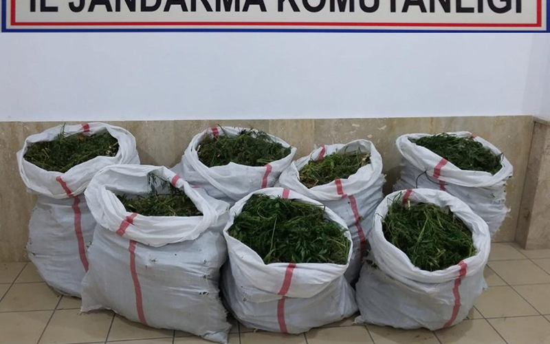 Jandarma operasyonunda 102 kilo esrar ele geçirildi