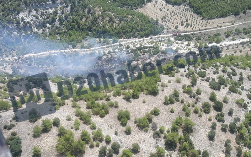 Pamukkale’de orman yangını