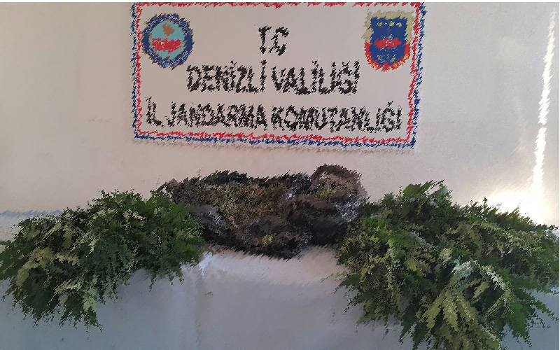 Jandarmadan uyuşturucu operasyonu