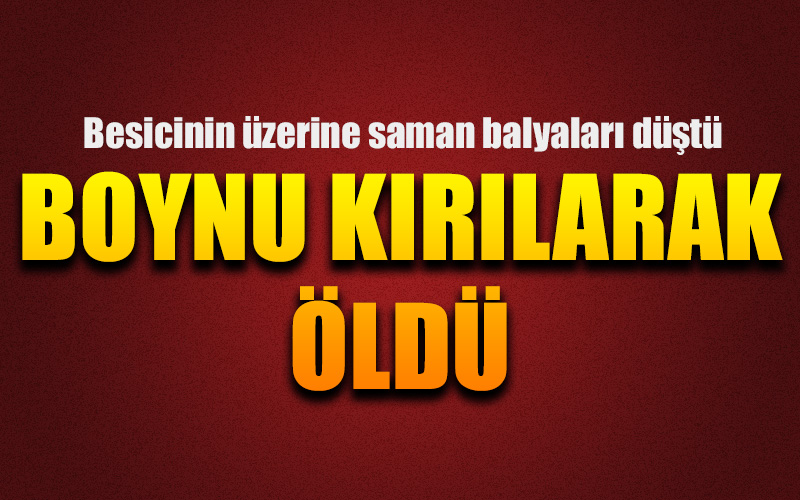 Boynu kırılan besici hayatını kaybetti
