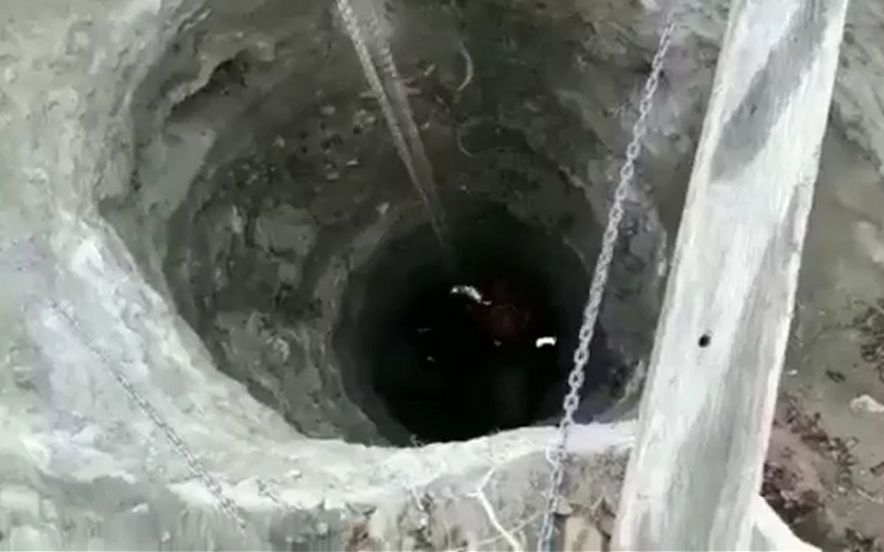 Mezarlıkta kedi kurtarma operasyonu