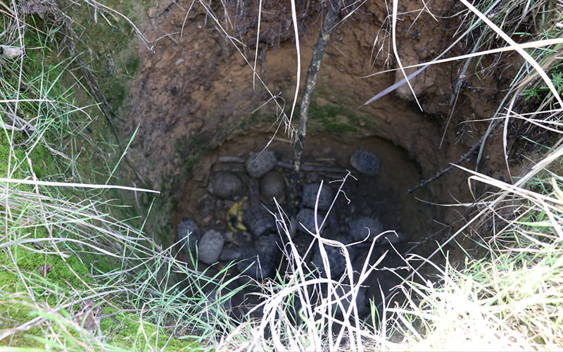 Kuyuda mahsur kalan kaplumbağaları itfaiye ekibi kurtardı