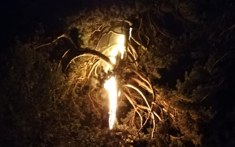 Süs ağacı değil, yıldırım yaktı