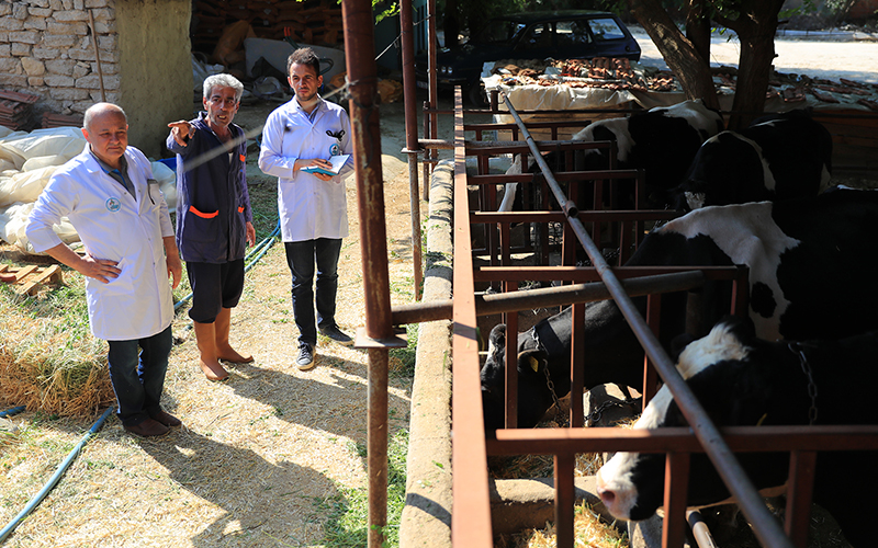 Pamukkale Belediyesi’nden besicilere ücretsiz veterinerlik danışma hizmeti