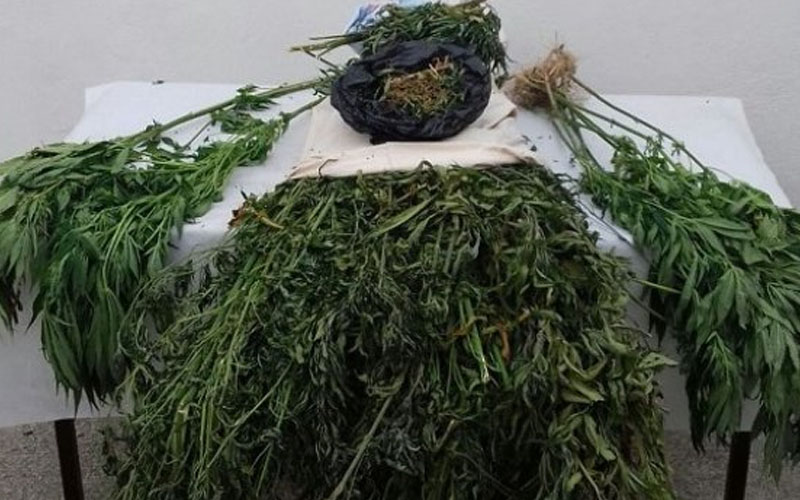 Jandarmadan zehir operasyonu: 1 gözaltı