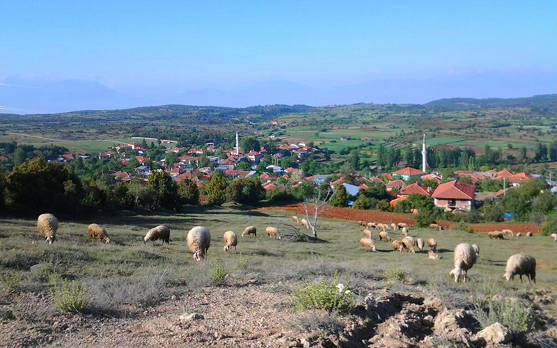 Güzelpınarlılar maden ocağı için ÇED toplantısına çağrıldı