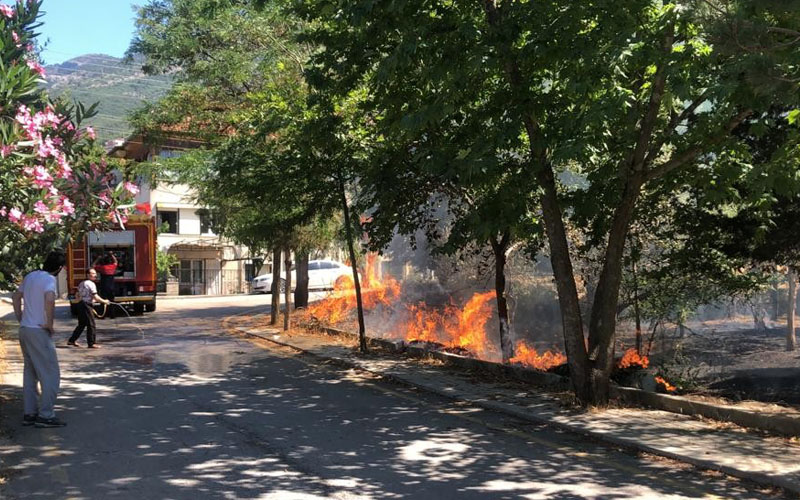 Mahalleliyi panikleten yangın