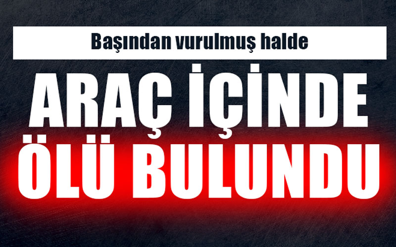 Araç içinde ölü bulundu