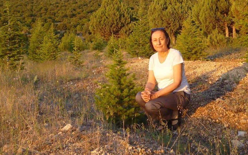 Dr. Gülçin Seher Ünal vefat etti