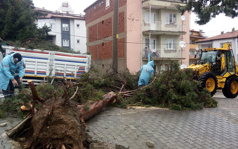 Pamukkale Belediyesinde fırtına mesaisi