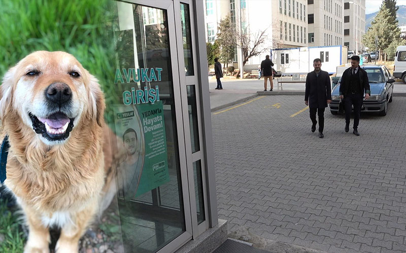 Köpeğini kaybeden ile bulan davalık oldu