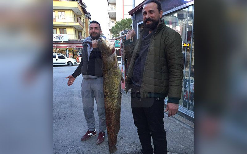 İki kardeş, dev yayın balıkları yakaladı