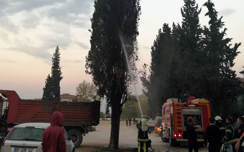 Ağacı yakmak istediler