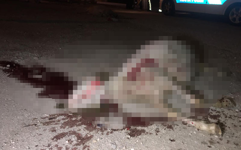 Otomobil koyun sürüsüne daldı, 2 koyun telef oldu