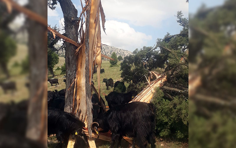 Ölümden dakikalar ile kurtuldu