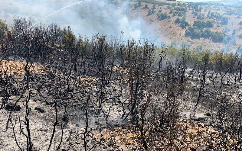 Çal’da orman yangını