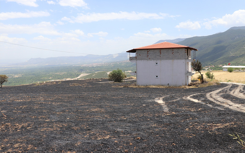 80 dekar buğday ve arpa yandı