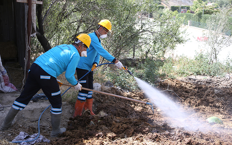 Merkezefendi’de haşereyle mücadele çalışmaları devam ediyor