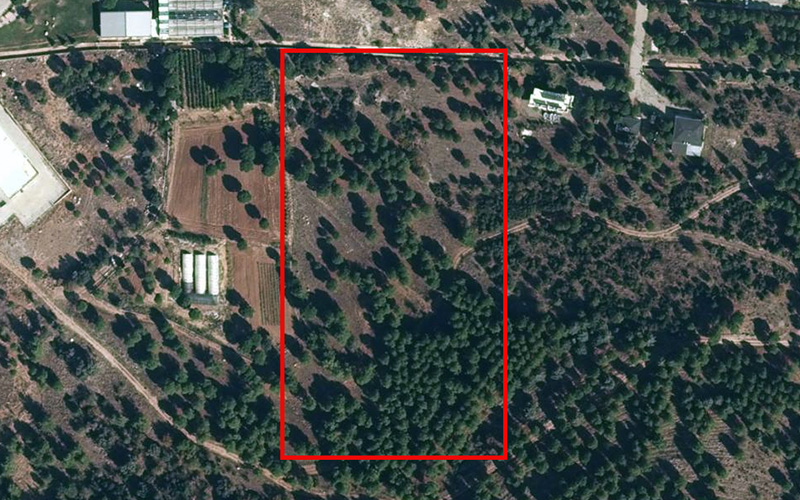 PAÜ Kampüsü’ne “ağaç kesilerek anaokulu yapılacak” iddiası