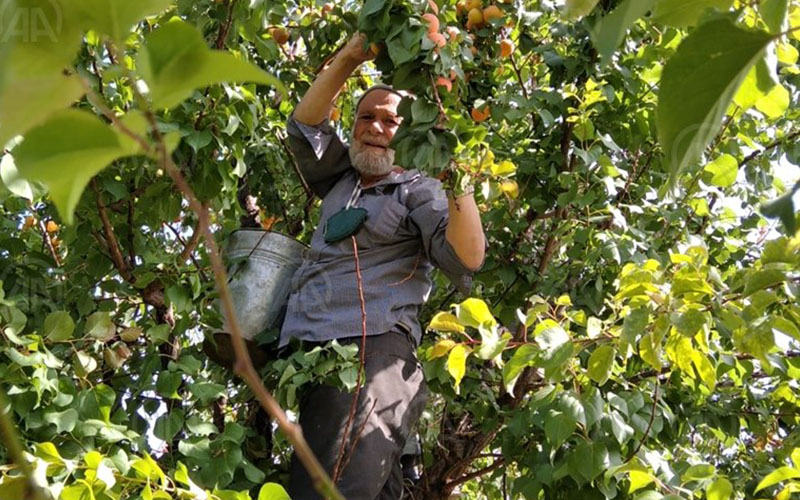“Elmacı Dede” Mehmetçiğe kayısı dağıtmak için Denizli’den Şırnak’a gitti