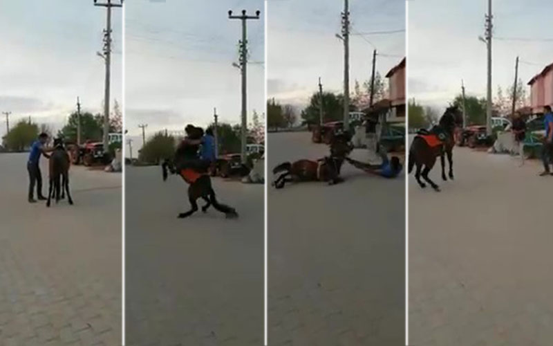 At şaha kalktı, binici kendini yerde buldu