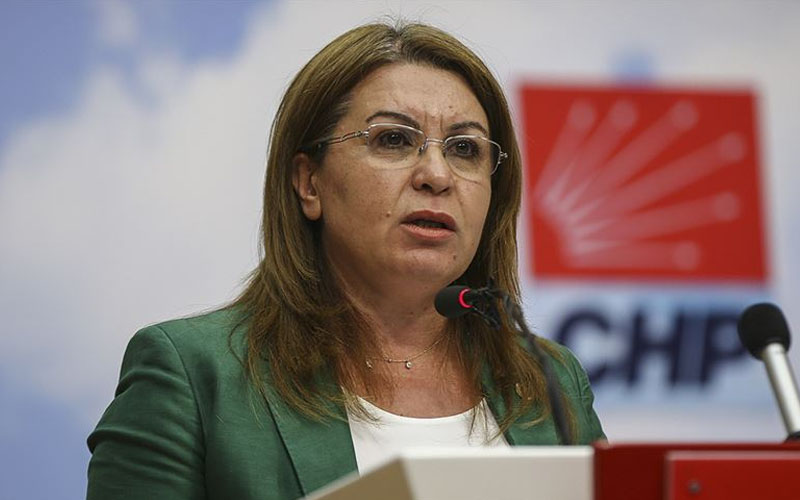 CHP Denizli Milletvekili Karaca, Parti Meclisine seçildi