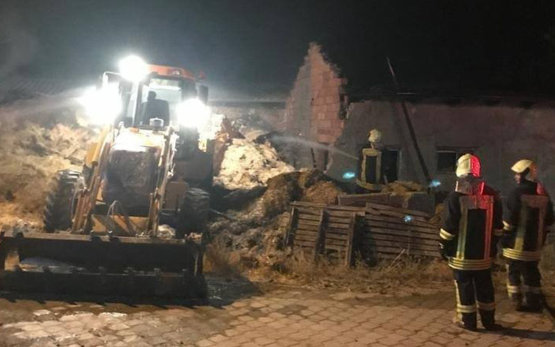 Besihanede çıkan yangında 40 büyükbaş telef oldu