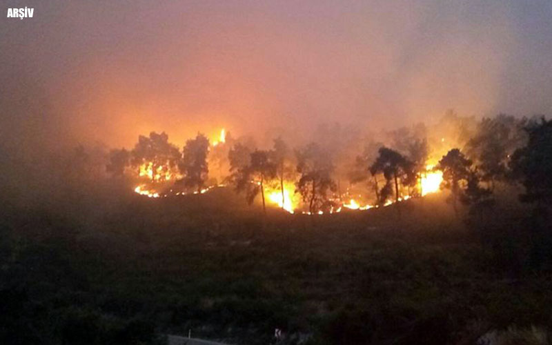 Güney’de orman yangını çıktı
