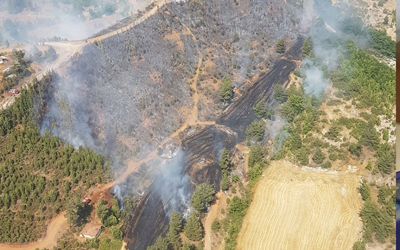 Orman yangını, havadan ve karadan müdahale edildi