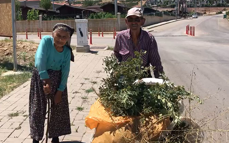 Yaşları 70 ama keçileri için hergün kilometrelerce yol tepiyorlar