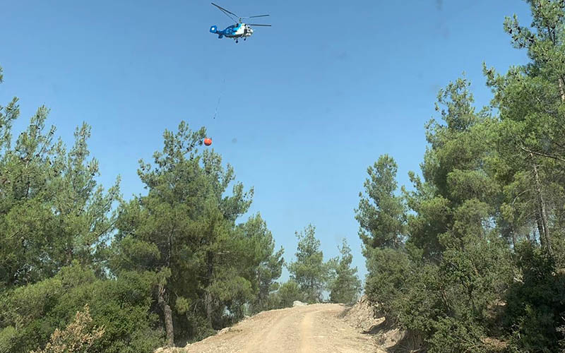 Çal’da orman yangını zarara yol açtı