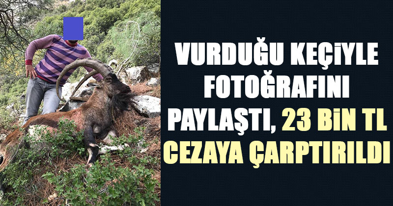 D20Haber Denizli Haberleri Koruma altındaki keçiyi avlayan kişiye