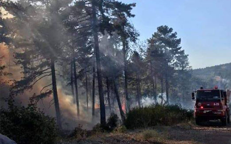 Honaz’daki yangında 10 hektarlık orman örtüsü zarar gördü